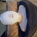 코이스테이 | 코리아나화장품 피부.체형관리｜코리아나 진주직영점 30년경력 맞춤관리 코이아나뷰티센터 솔직후기