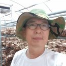 김형표농장 이미지