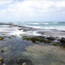 하도별방진 이미지