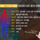 와우점핑다이어트 - 수영구 연수로315번길 16 | 와우점핑다이어트
