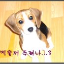 오복 이미지