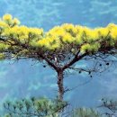 황금농장(2) 이미지