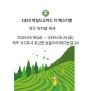 🍵 제주 녹차밭 축제, 와일드오차드 티 페스티벌 일정·정보 총정리