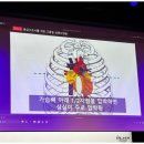 심폐소생술 및 응급처치 | [교직원 법정의무교육] 심폐소생술 및 응급처치 교육 후기