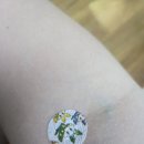 빼자스쿨 | 생존신고] 맥 풀리던 날들의 기록: 시원스쿨 오류, 병원 검사 결과, 그리고 다시 달릴 준비!