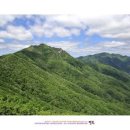 수원 수정산악회 150차 정기산행 이미지