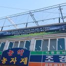 챔피언스풋살 이미지