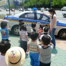 황금지구대 이미지