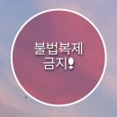 [정보] 네고왕 피자, 반올림피자샵 할인/주문방법(기간연장). com
