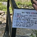 가평다온캠핑장/글램핑/애완동반가능/ 1박 후기