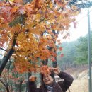 지식인농장 이미지