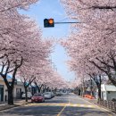 대륜세탁소 이미지