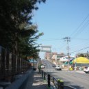 강릉초사거리 이미지