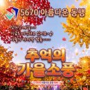 "추억의 가을 소풍 " 공지 안내 이미지