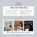 아트어린이집 | [샌드아트 공연] 경기도 부천 오정경찰서 직장 어린이집 샌드아트 공연