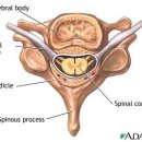연세광혜병원 이미지