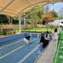 독트럴파크 이미지