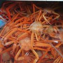 앗싸!대게