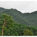 지리산허브밸리 이미지