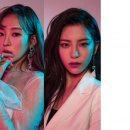 다연 이미지