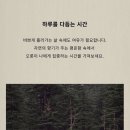 파레타(PALETA) 이미지