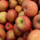 혜자농장 이미지