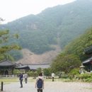 물한계곡 소나무펜션 이미지