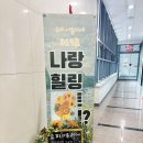 보석스케치 | 【 하남 미사 큐피아뜰리에 】 보석트리 만들기 체험 후기｜연말에 딱 좋은 크리스마스 DIY 추천🎄