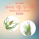 용용농장 이미지