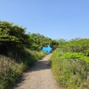 조천자동차경정비 | 에이바우트커피 조천점 제주 올레길 18코스 노을 맛집 조천항