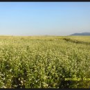 공음농장 이미지