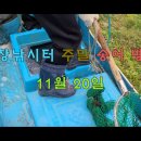 남창낚시터 이미지