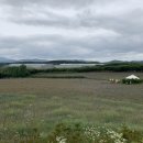 선창목장 이미지