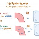 휘트니스 오름 이미지