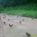 범수네농장 이미지