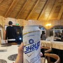 밍크플라이