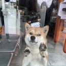 야미마라탕 이미지