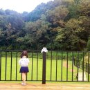 노블라인 도베르만 이미지