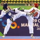 호암태권도체육관 이미지