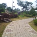 석남완충도시숲 이미지