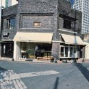 댕댕카 | 대구애견동반카페 롤러커피, 숨숨이동가방 챙기고 강아지와 찐방문 후기