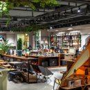 초이로 52 이미지