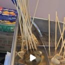 한국체대천마태권도장 이미지