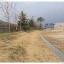 용북중학교 Daum카페