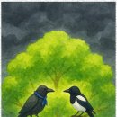 명문국어논술학원 이미지