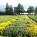 스카이힐 모텔 이미지