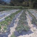 경희농원 이미지