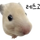 여행] 일본 전역을 뒤흔든 1등 라멘의 성지, 돈코츠 쇼유 중화소바의 근본 노포 '이데쇼텐' 솔직 후기