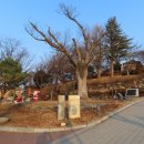 인주공단센타 Daum카페