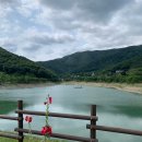 이미영산부인과의원 | [임신 31주] 아산병원산부인과/태동검사/비급여 백일해주사/태아 크기 무게 초음파 비용/ 증상